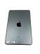 Apple iPad Mini 5th Gen