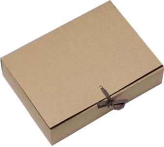 Arkistokotelo A4 nauha/nauha 8 cm ruskea