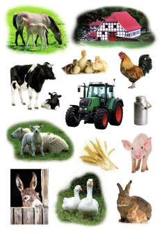 Decor tarra Maatilan eläimet