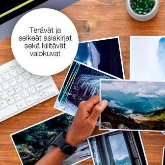 EPSON 202 Kiwi Claria Premium