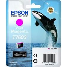 Epson SC-P600 vivid magenta