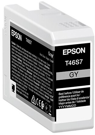 Epson T46S7 harmaa
