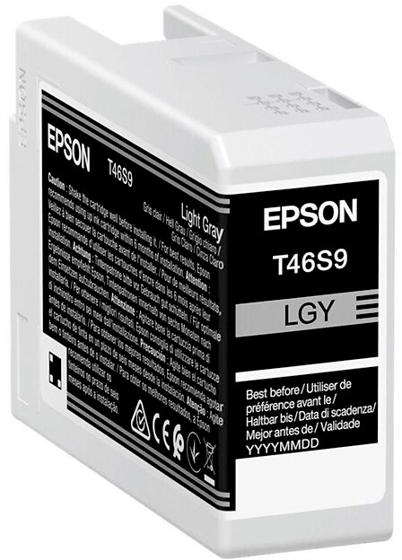 Epson T46S9 Vaalean harmaa