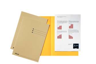 Esselte Kortistokortti A6L