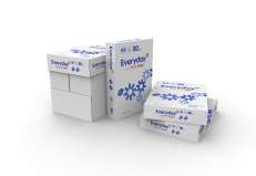 Everyday Copy A4 80g