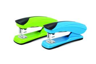 Forpus nitoja 20 arkkia