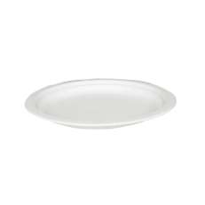 ! GASTRO biodegradable plate 23cm valkoinen