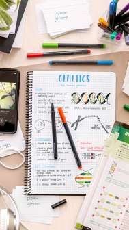 Grip Finepen kuitukärkikynäsarja