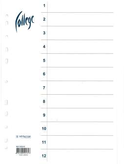 Hakemisto A4 kartonkia 12-os blanko valkoinen