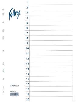 Hakemisto A4 kartonkia 20-os blanko valkoinen