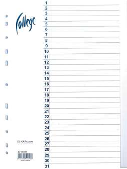 Hakemisto A4 kartonkia 31-os blanko valkoinen