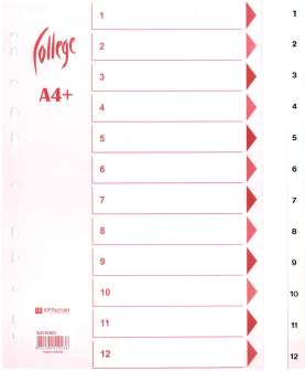 Hakemisto A4+ leveä 1-12 muovi