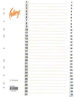 Hakemisto A4 1-31 muovi