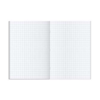 Kouluvihko A4 20 lehteä 10x10mm