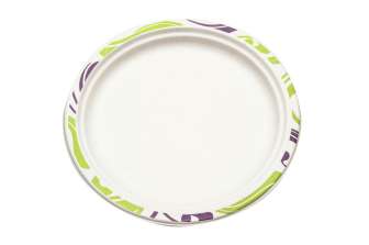 Kuitulautanen Chinet 22 cm