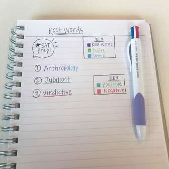 Kuulakärkikynä Papermate Quatro 4 perusväriä kynässä