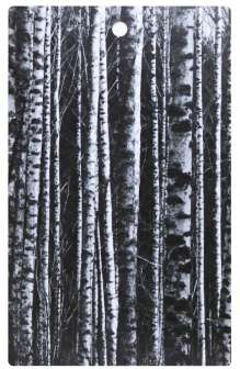 Leikkuulauta, Koivut