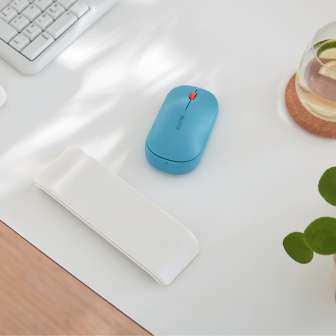 Leitz Ergo Cosy rannetuki