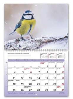 Luonto läheltä -seinäkalenteri kartonki parikierre 2019