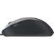 Microsoft Comfort Mouse 4500