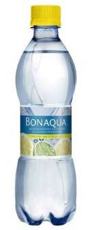 Olvi Vichy 24x0,5l kmp