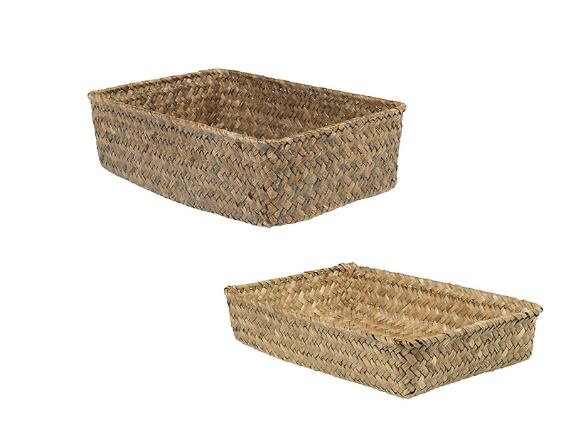 Pentik vesiheinäkori