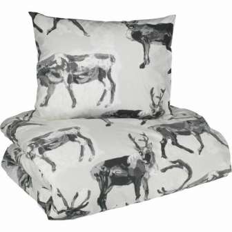 Pussilakanasetti Fauna Poro