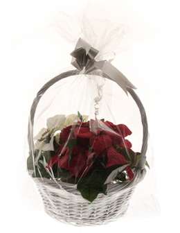 Sellofaanipussi 600x800 mm