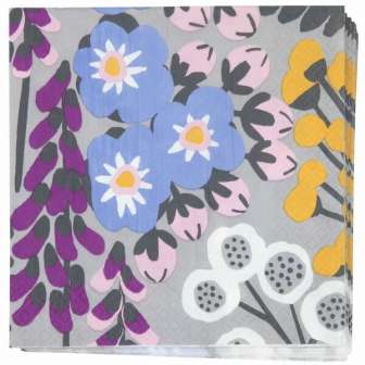 Servetti 24x24cm Hiirenvirna