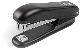 Forpus Nitoja Nro 10