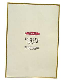 Kehykset A4/21x30cm matta kulta