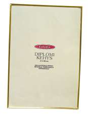 Kehykset A4/21x30cm matta kulta.