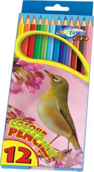 Värikynä ZOO 12 väriä pitkä