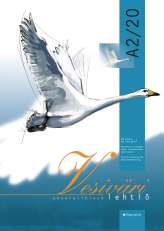 Vesivärilehtiö A2 20 lehteä